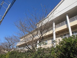 f:id:kagiyas:20200325162211j:plain