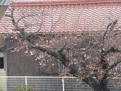f:id:kagiyas:20200327155240j:plain