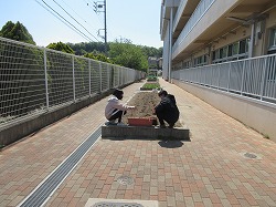 f:id:kagiyas:20200428152327j:plain