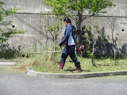 f:id:kagiyas:20200514143524j:plain
