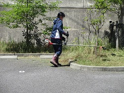 f:id:kagiyas:20200514143527j:plain