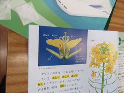 f:id:kagiyas:20200601173740j:plain