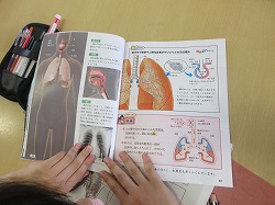 ６年生 理科 肺の仕組み かぎやっ子日記