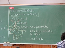 ６年生 理科 肺の仕組み かぎやっ子日記
