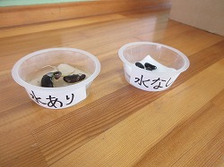f:id:kagiyas:20200616165754j:plain