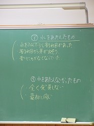 f:id:kagiyas:20200616165808j:plain