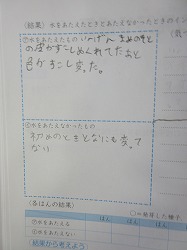 f:id:kagiyas:20200616165816j:plain