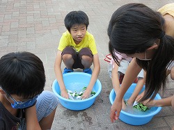 f:id:kagiyas:20200730220021j:plain