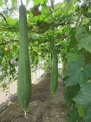 f:id:kagiyas:20200813191928j:plain