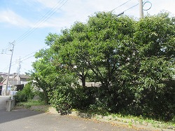 f:id:kagiyas:20200817113845j:plain