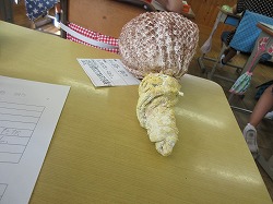 f:id:kagiyas:20200827170846j:plain