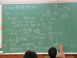 ６年生 理科 食物連鎖 かぎやっ子日記