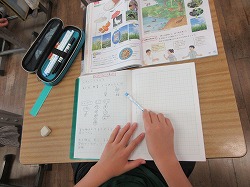６年生 理科 食物連鎖 かぎやっ子日記