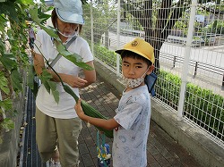 f:id:kagiyas:20200909123917j:plain