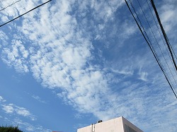 f:id:kagiyas:20201007123553j:plain f:id:kagiyas:20201007123553j:plain
