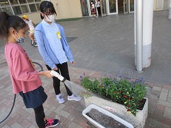 f:id:kagiyas:20201012171750j:plain
