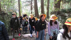 f:id:kagiyas:20201130185735j:plain