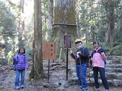 f:id:kagiyas:20201130185811j:plain
