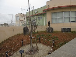 f:id:kagiyas:20201224104807j:plain