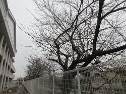 f:id:kagiyas:20201224104832j:plain