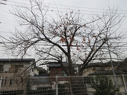 f:id:kagiyas:20201224104835j:plain