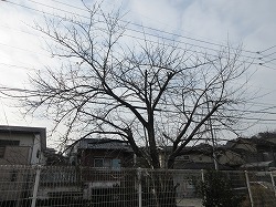 f:id:kagiyas:20210105105119j:plain