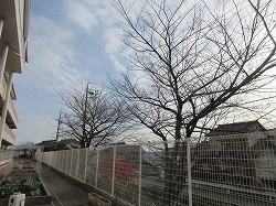 f:id:kagiyas:20210105105121j:plain