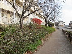 f:id:kagiyas:20210105105130j:plain
