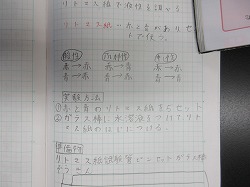 6年生 理科 リトマス紙で液性を調べる実験 かぎやっ子日記 6年生 理科 リトマス紙で液性を調べる実験 かぎやっ子日記