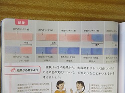 6年生 理科 リトマス紙の実験でわかったこと かぎやっ子日記 6年生 理科 リトマス紙の実験でわかったこと かぎやっ子日記