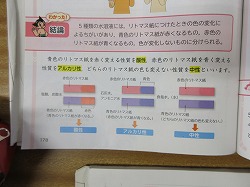 6年生 理科 リトマス紙の実験でわかったこと かぎやっ子日記 6年生 理科 リトマス紙の実験でわかったこと かぎやっ子日記