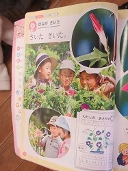 f:id:kagiyas:20210120202211j:plain