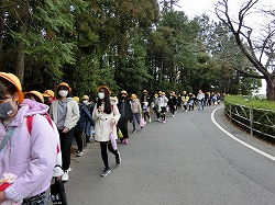 f:id:kagiyas:20210201185331j:plain