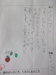 f:id:kagiyas:20210208200309j:plain