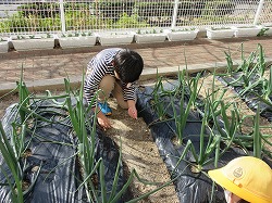 f:id:kagiyas:20210317221044j:plain