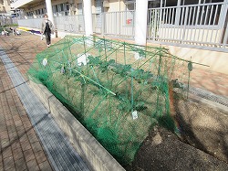 f:id:kagiyas:20210317221148j:plain