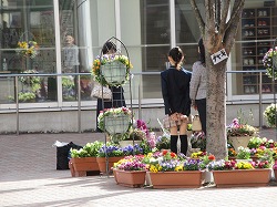 f:id:kagiyas:20210319155115j:plain