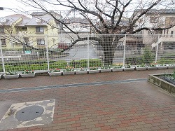 f:id:kagiyas:20210325142259j:plain