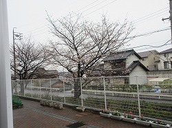 f:id:kagiyas:20210325142511j:plain