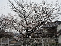 f:id:kagiyas:20210325142553j:plain