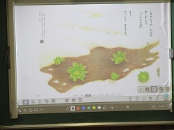 f:id:kagiyas:20210413184104j:plain