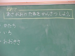 f:id:kagiyas:20210511181318j:plain