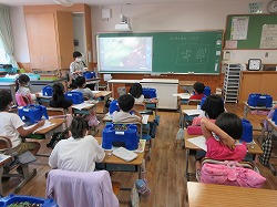2年生：生活 ミニトマトの観察 - かぎやっ子日記