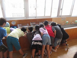 ５年生 理科 メダカがやってきた かぎやっ子日記