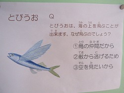 f:id:kagiyas:20210612221702j:plain