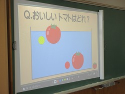 f:id:kagiyas:20210623221620j:plain