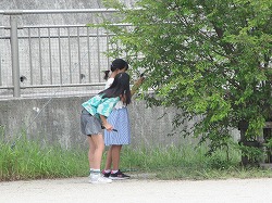 f:id:kagiyas:20210625193351j:plain