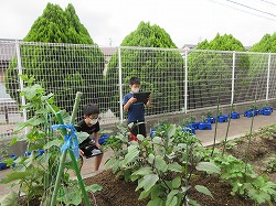 f:id:kagiyas:20210625193427j:plain