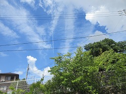 f:id:kagiyas:20210802100526j:plain