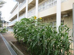 f:id:kagiyas:20210804102355j:plain